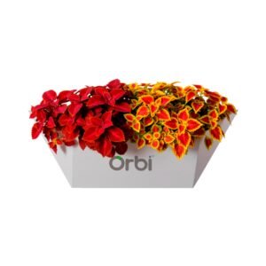 Módulo Floreira Prismática Orbi – Jardim Vertical Urbano